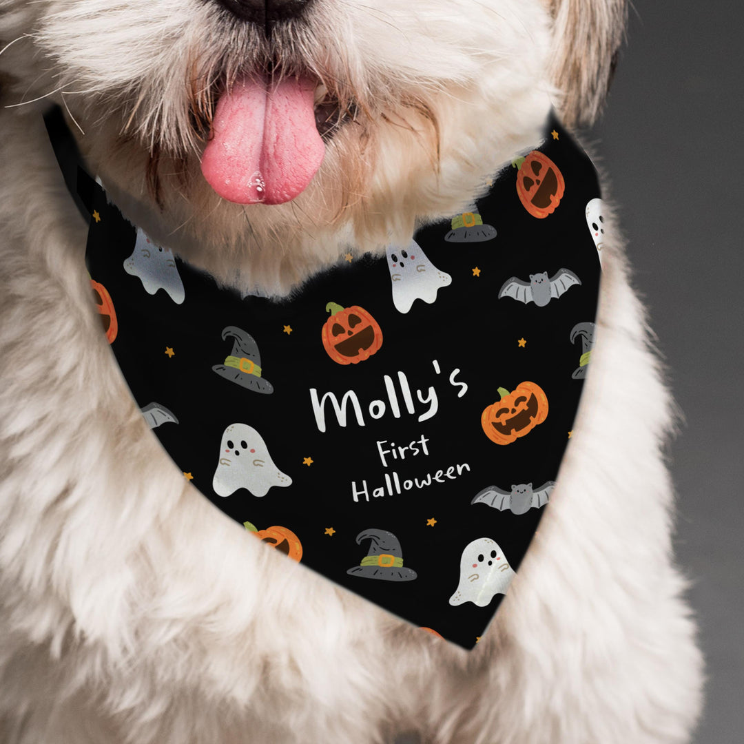 Personalised Halloween Dog Bandana – alternative view