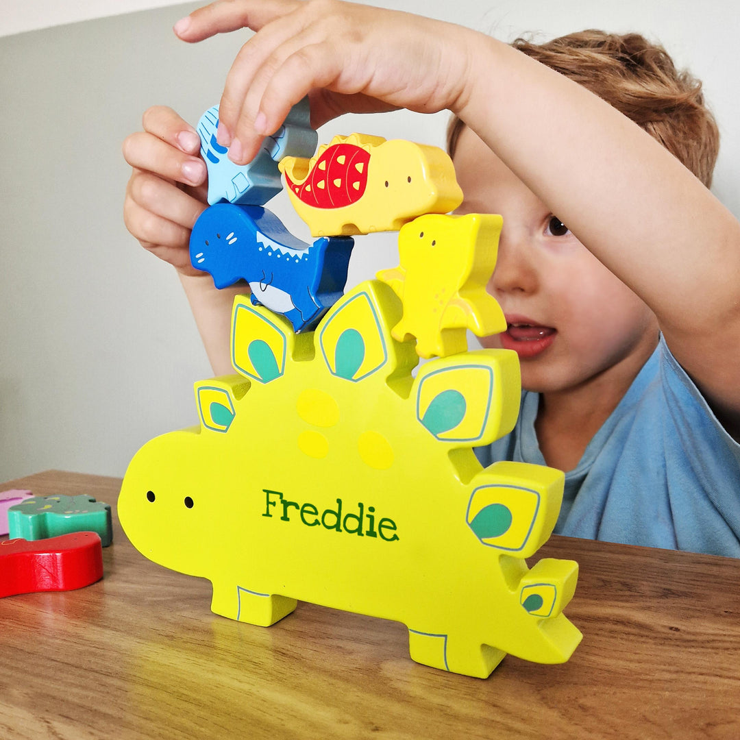 Personalised Dinosaur Book &amp; Stacking Toy, The Personal Shop, personalised gifts