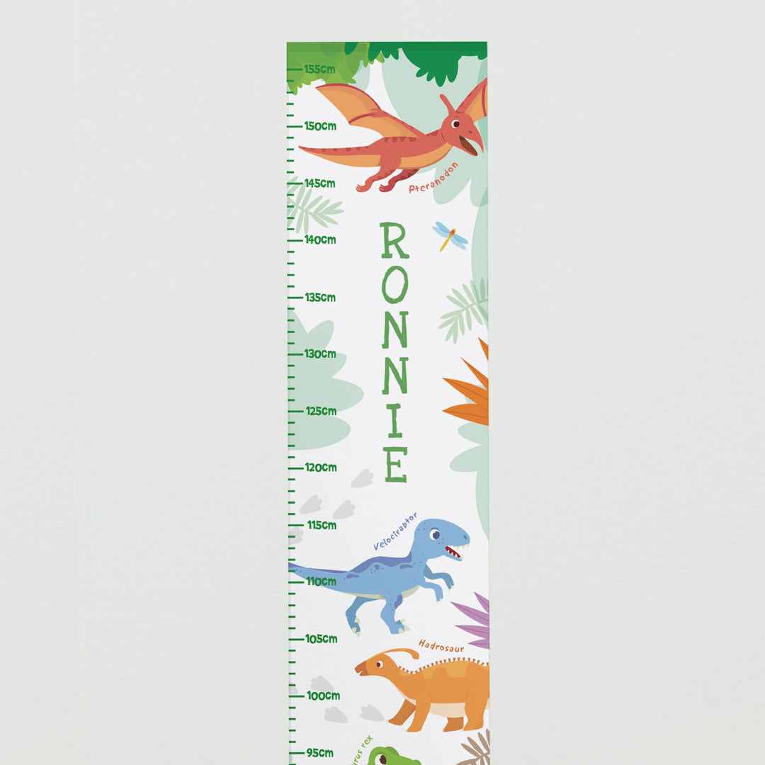 Personalised Dinosaur Height Chart, The Personal Shop, personalised gifts