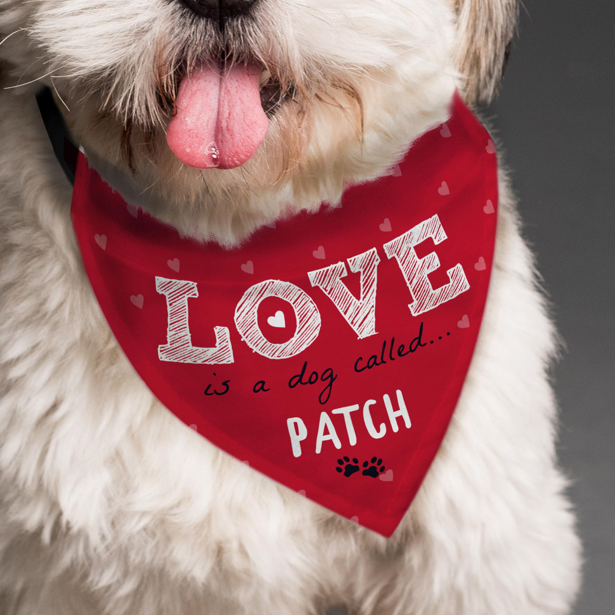 Personalised Love is... Dog Bandana – alternative view