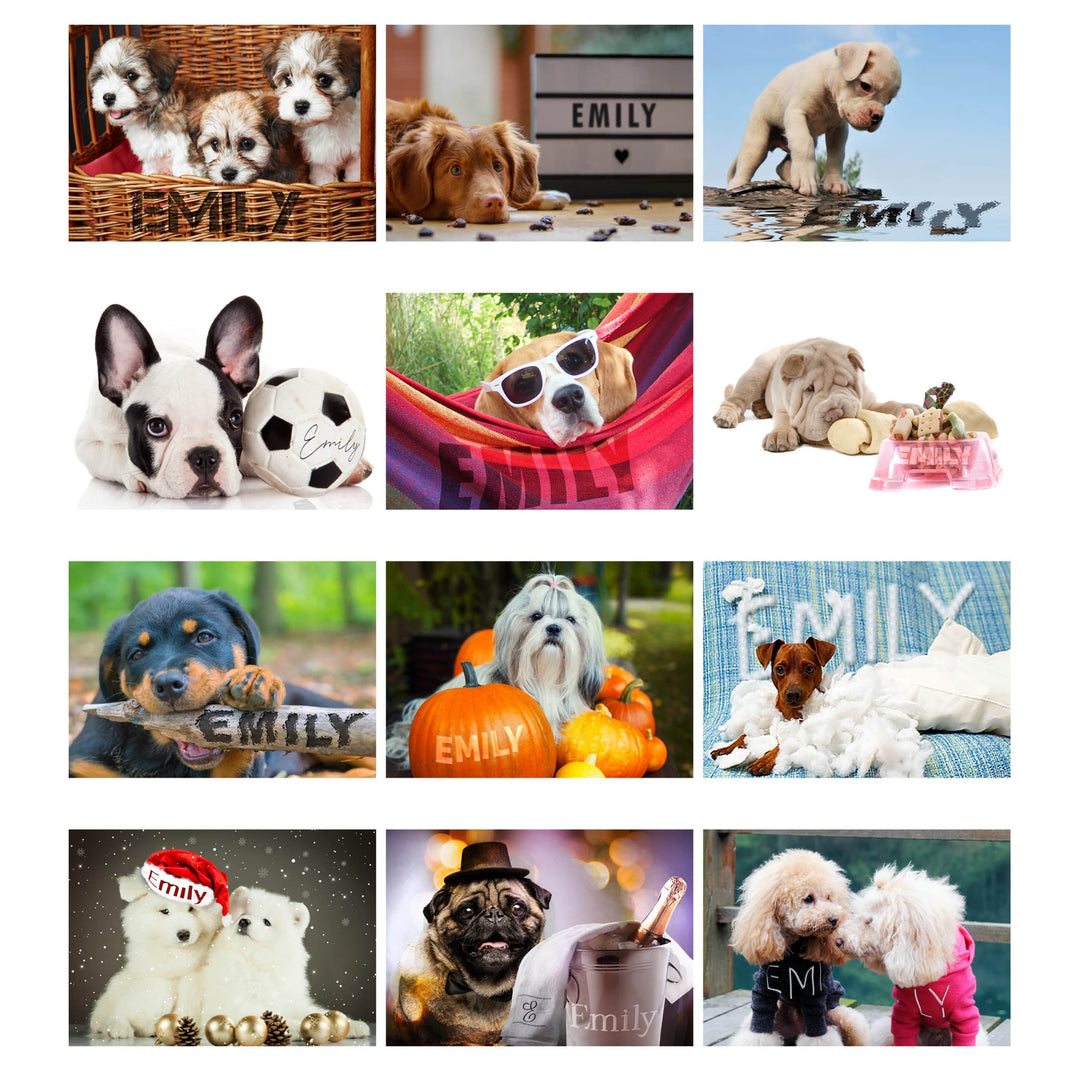 Personalised Memento Stationery &amp; Pens Personalised A4 Barking Mad Calendar