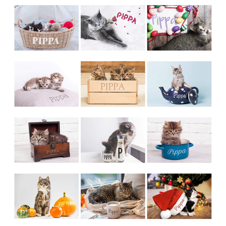 Personalised Memento Stationery &amp; Pens Personalised A4 Cats &amp; Kittens Calendar