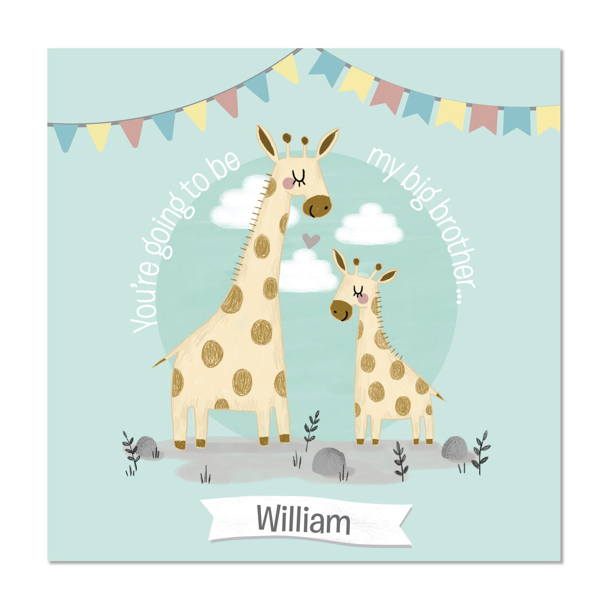 Personalised Memento Books Personalised Big Brother Story Book