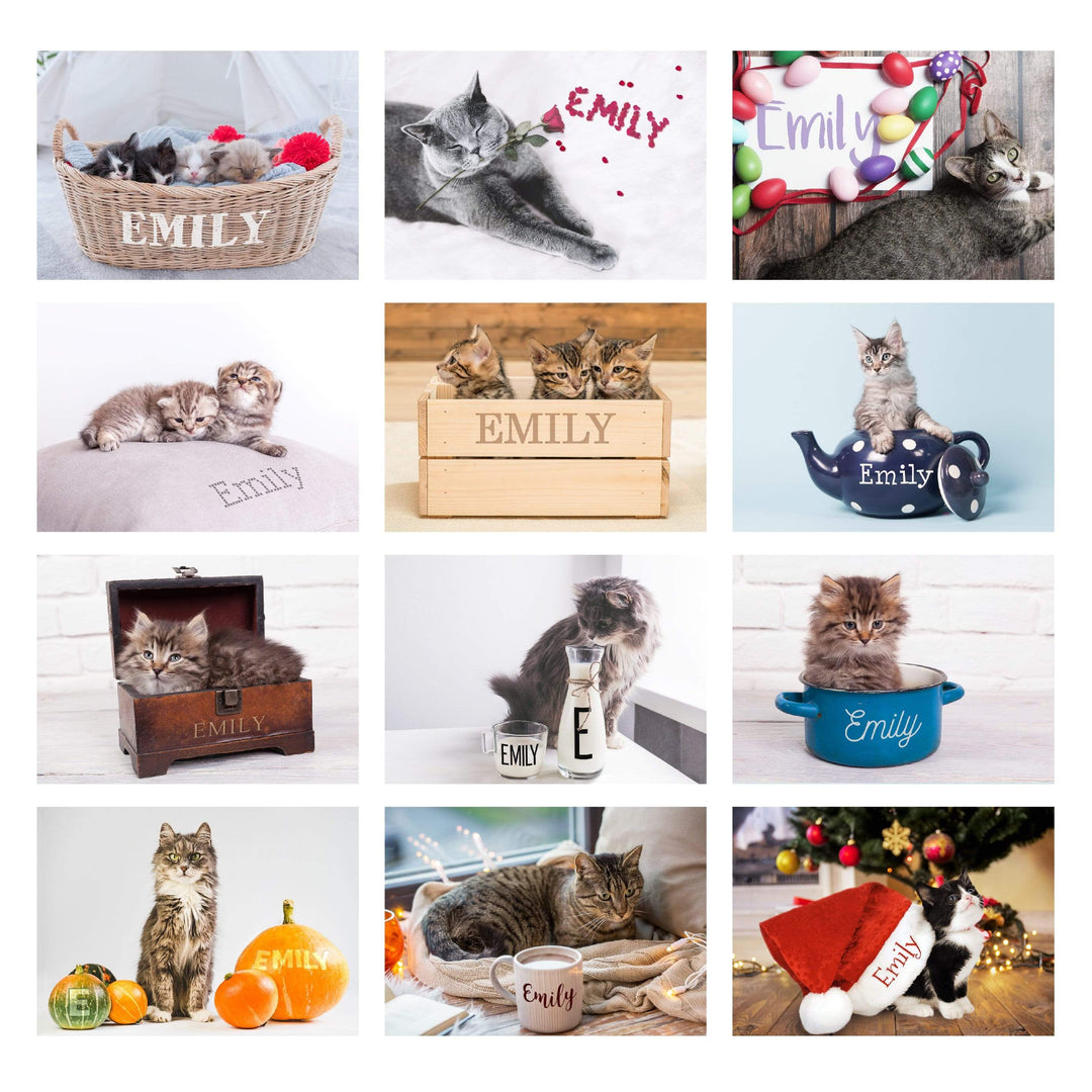 Personalised Memento Stationery &amp; Pens Personalised Cats and Kittens Desk Calendar