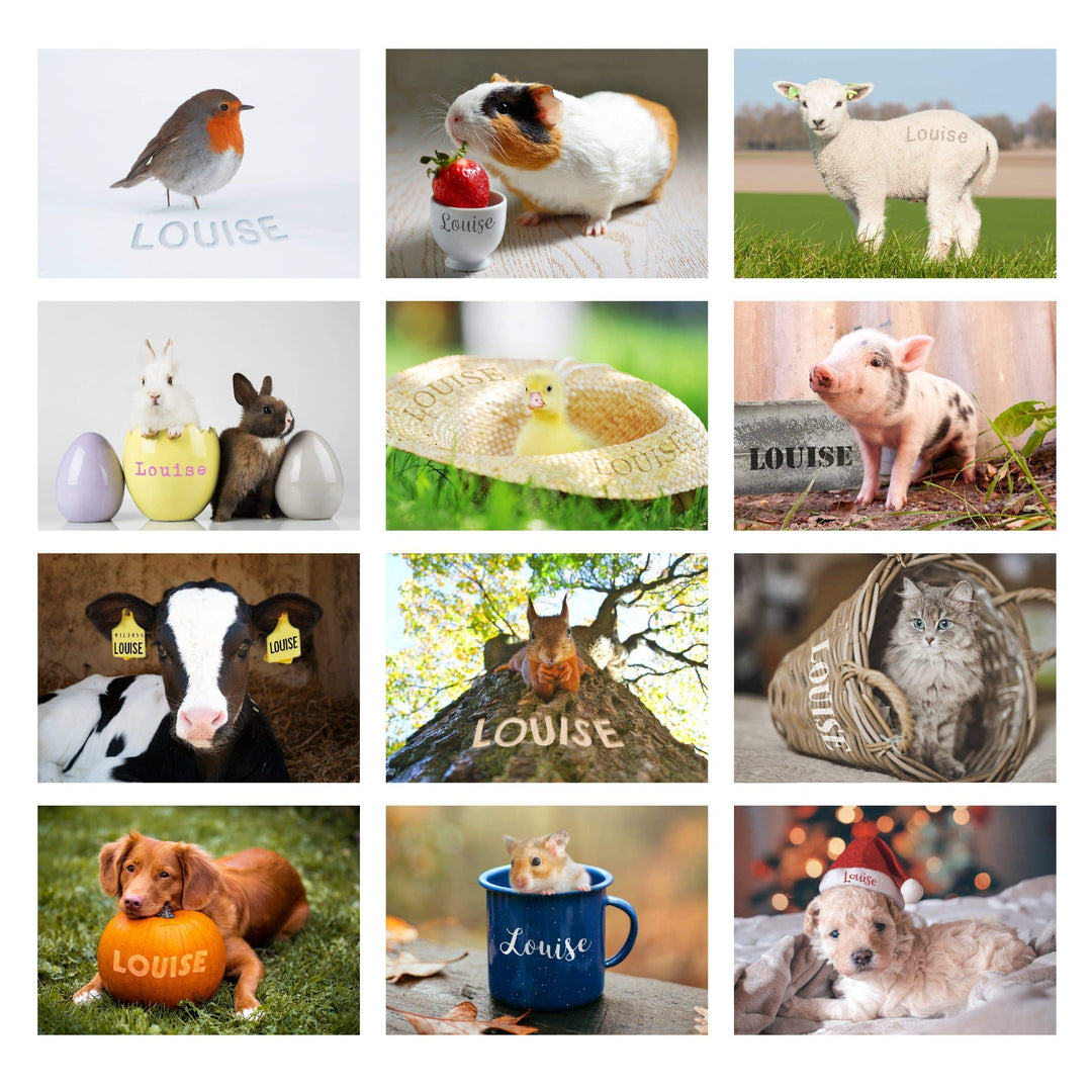 Personalised Memento Stationery &amp; Pens Personalised Cute Animals Desk Calendar