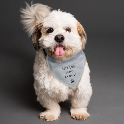 Personalised Memento Personalised Dog Bandana