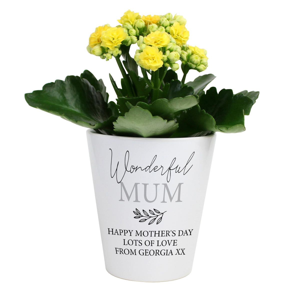 Personalised Memento Personalised Free Text Plant Pot