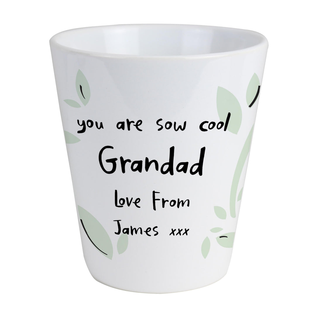 Personalised Memento Personalised Free Text Plant Pot