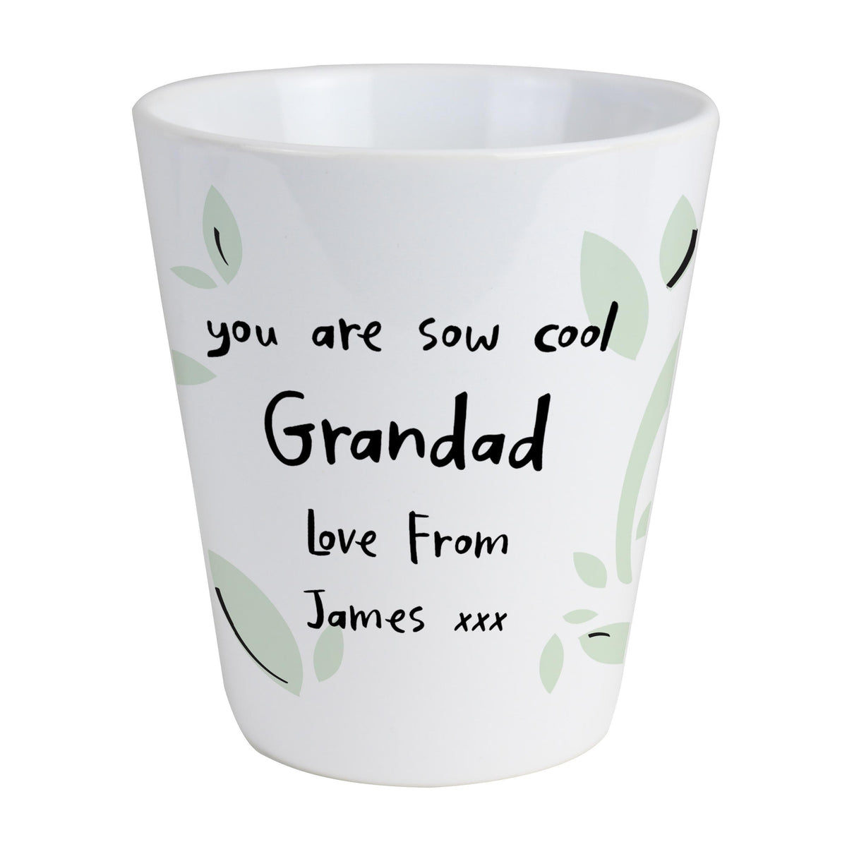 Personalised Memento Personalised Free Text Plant Pot