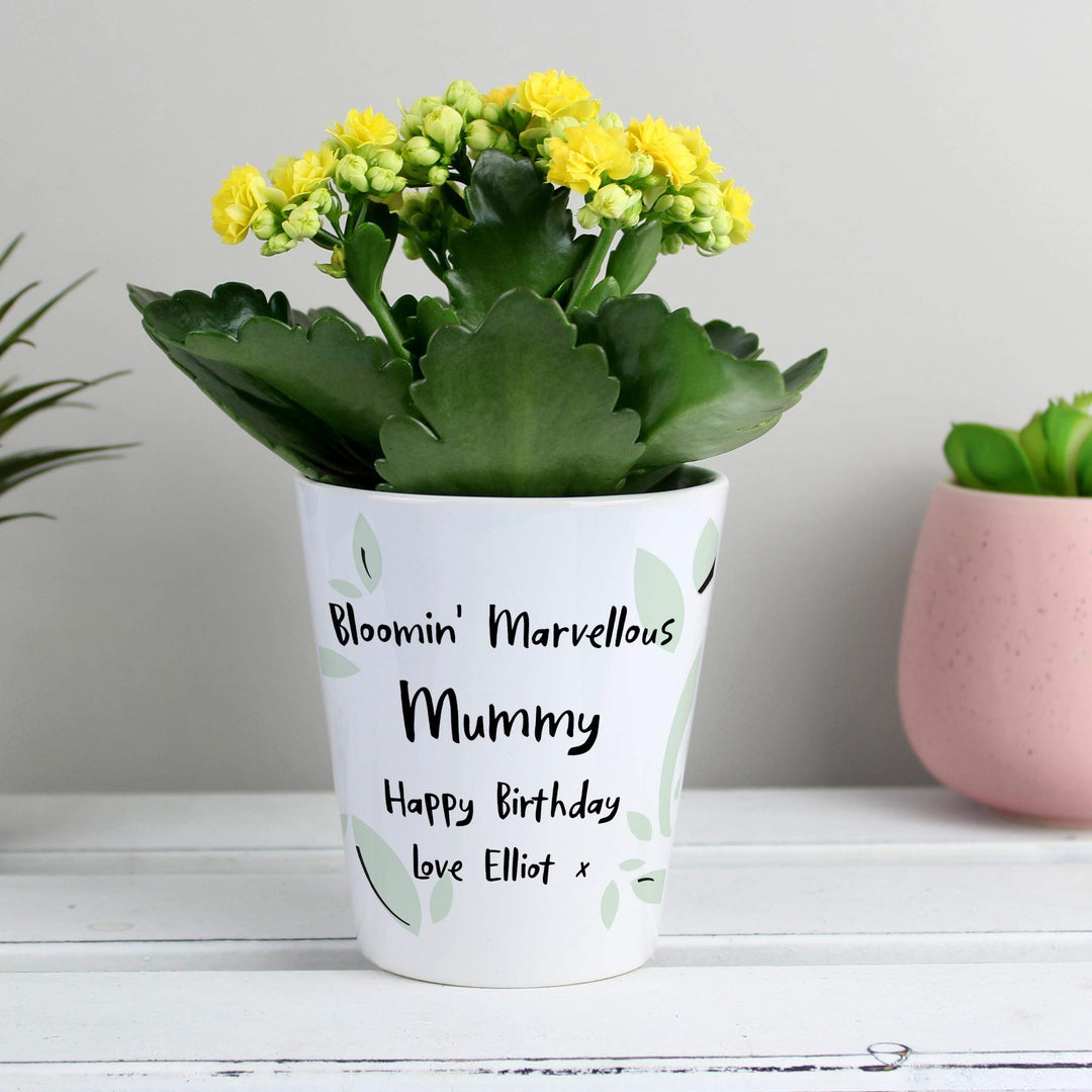 Personalised Memento Personalised Free Text Plant Pot
