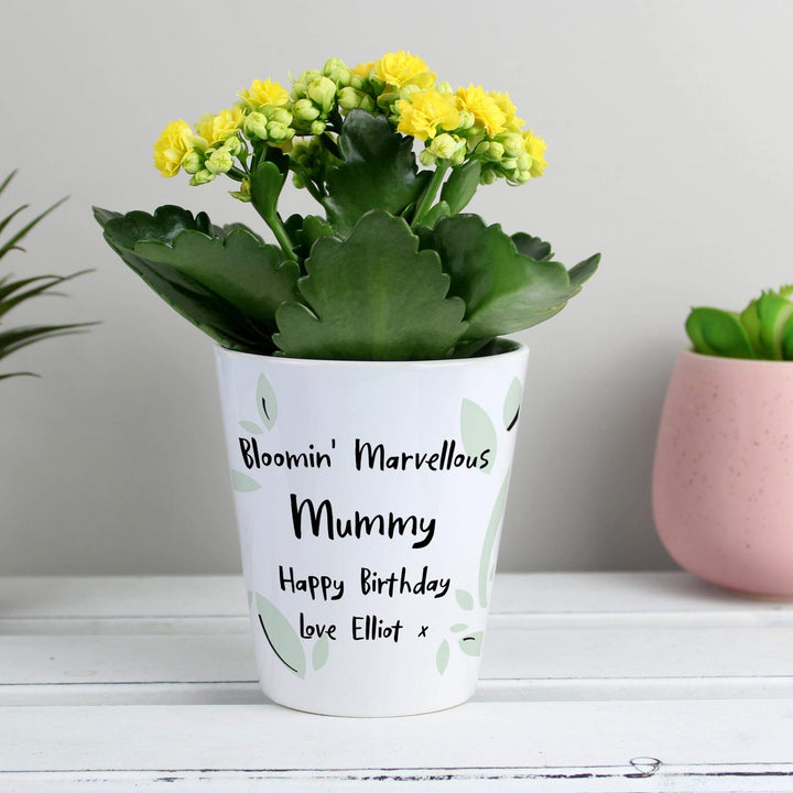 Personalised Memento Personalised Free Text Plant Pot