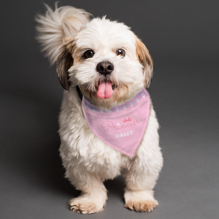 Personalised Memento Personalised Princess Dog Bandana