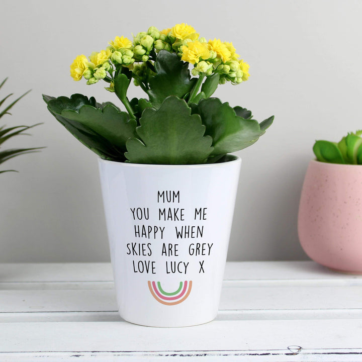 Personalised Memento Personalised Rainbow Plant Pot