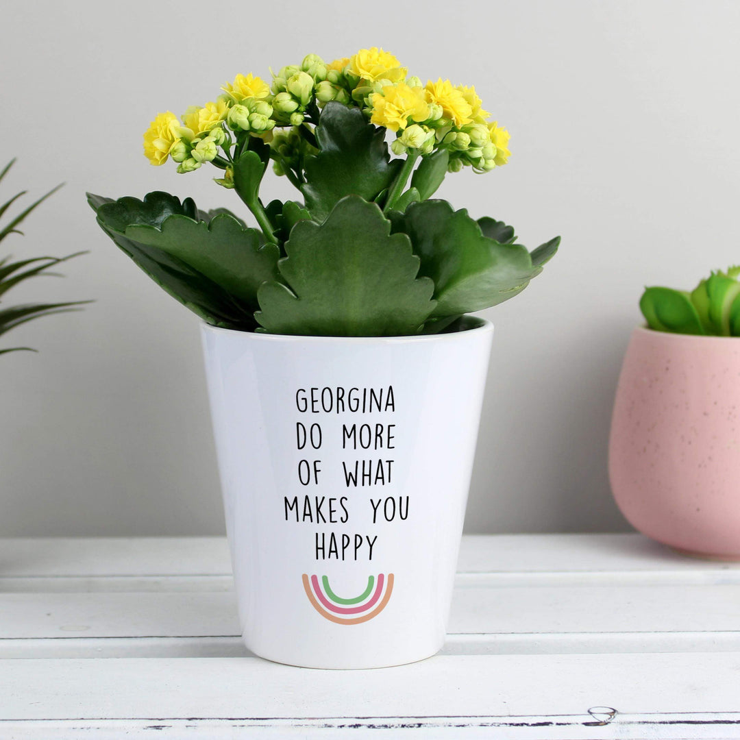 Personalised Memento Personalised Rainbow Plant Pot