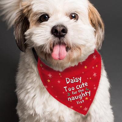 Personalised Memento Personalised 'Too cute for the naughty list' Dog Bandana