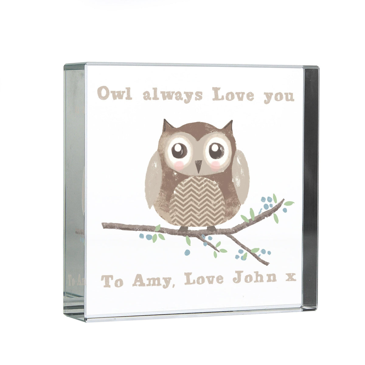 Personalised Memento Ornaments Personalised Woodland Owl Large Crystal Token